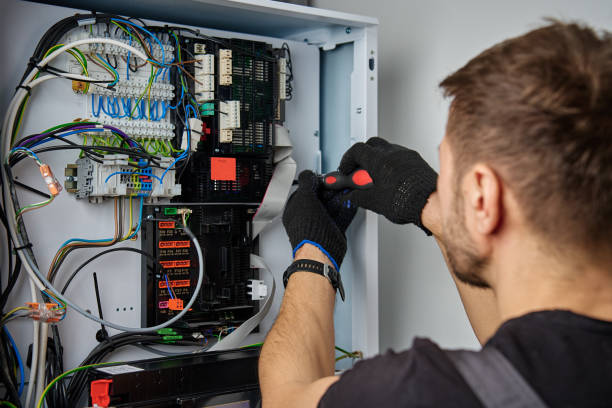 Licensed Electrical Panel Upgrade service in Laingsburg, MI - No Joke electrician